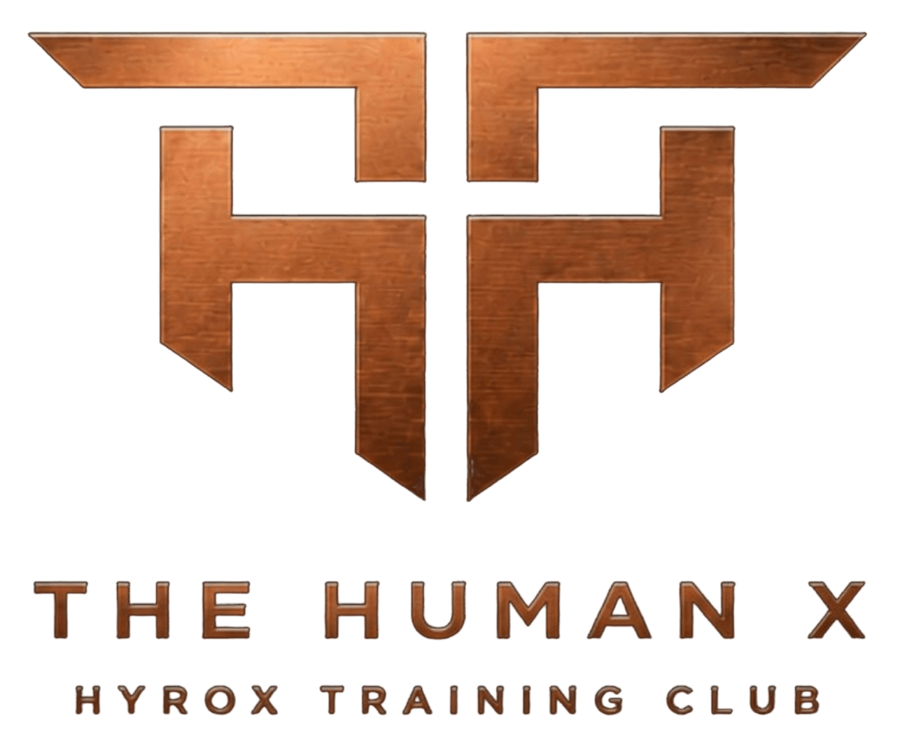 Human X