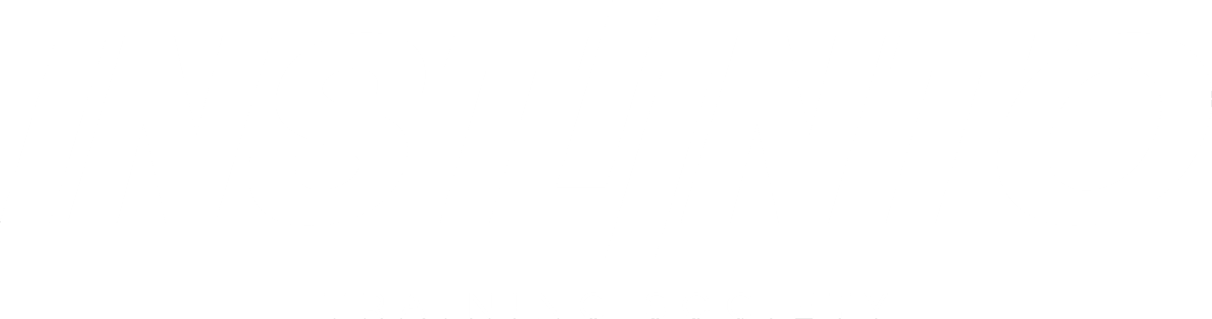 Instiinto Training Society