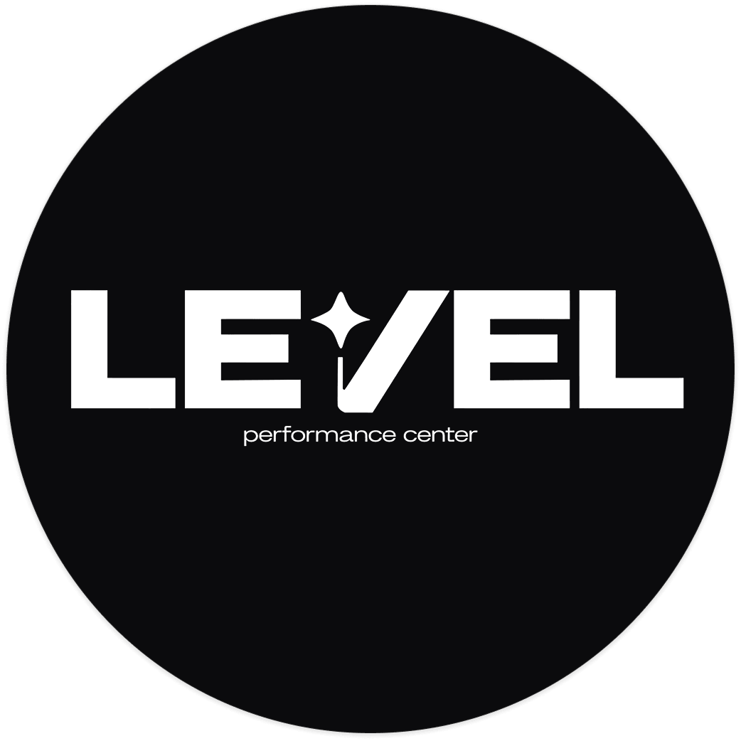 Logo Level Studio